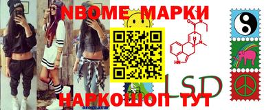 амф Гусев