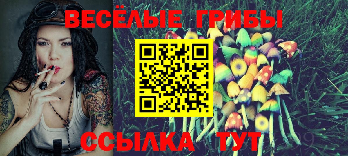 Псилоцибиновые грибы прущие грибы Североморск