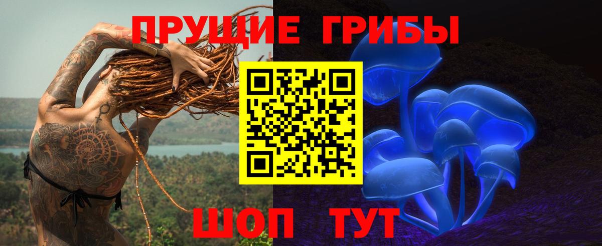 Псилоцибиновые грибы мицелий  Вход с VPN  Североморск 